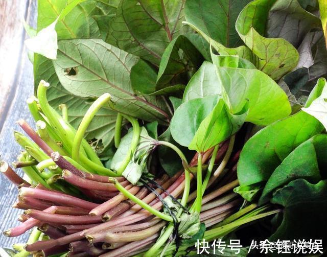 米醋|9月最该吃这菜,一块钱炒1大盘,常吃眼睛明亮,鲜香软糯又顶饱