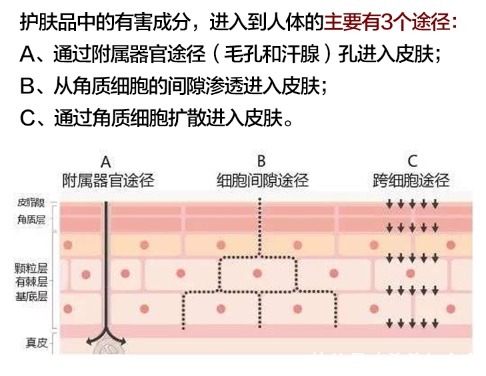 二胎辣妈爆火的怀孕护肤“3+2法则”！精明孕妈才能越孕越美丽！
