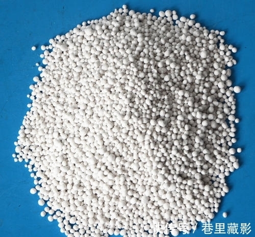 花肥|养花不会施肥,那你需要看看这个,为你的花选对肥