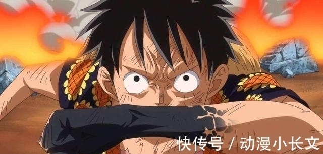 陨落|海贼王:和之国篇章结束之后有4人可能陨落,罗的牺牲情理之中