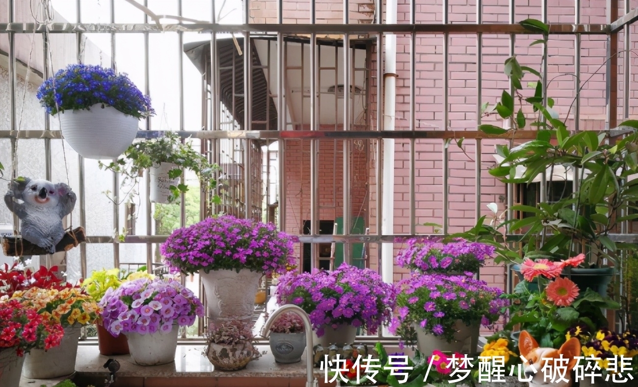 养花小窍门:喂点这2样“营养品”,植物个个根壮叶绿