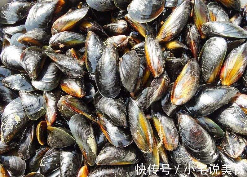 听名字误以为是蔬菜，被称“海中鸡蛋”，比鱼虾营养，比生蚝鲜美