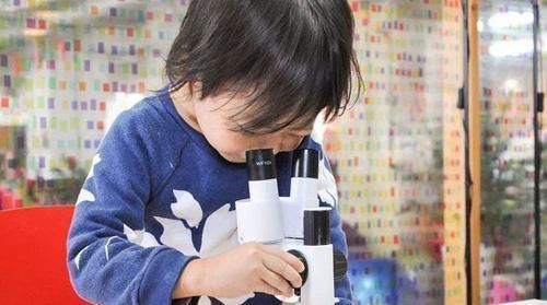 孩子|高智商的孩子,小时候都有这几个特征,占一条的就偷着乐吧