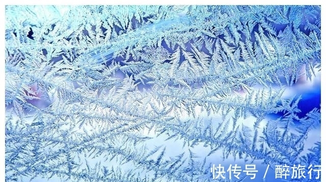 金色|北京冬奥会获奖运动员获得的金色冰墩墩装饰花环是?蚂蚁庄园答案