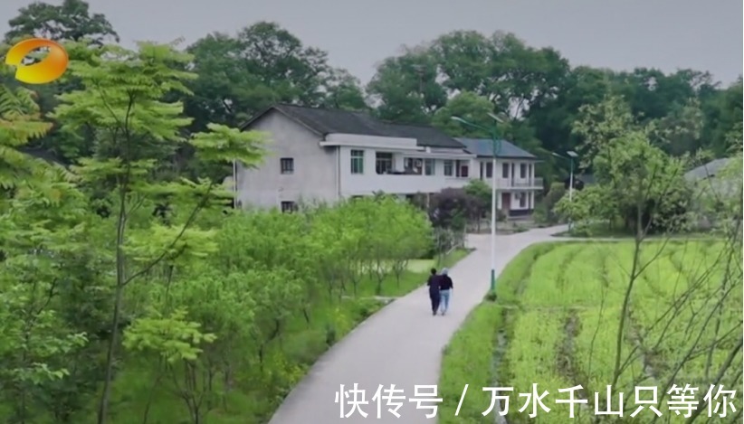 毛毯|《向往》女嘉賓凌晨四點才睡,做了一件讓何炅很感動的事