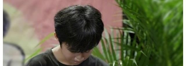 為了演戲欲退學(xué)?孫紅雷苦勸14歲孩子:先搭好基礎(chǔ)知識(shí)框架