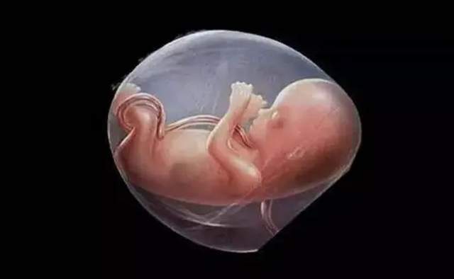 分娩|孕妇分娩时胎儿在做什么看完真相暖哭宝妈，母子齐心“到人间”