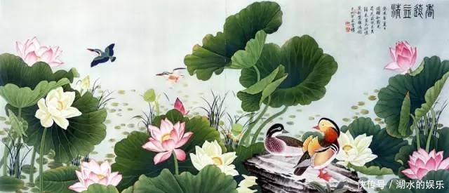 好漂亮的鸳鸯戏水图:祝愿天下有情人!