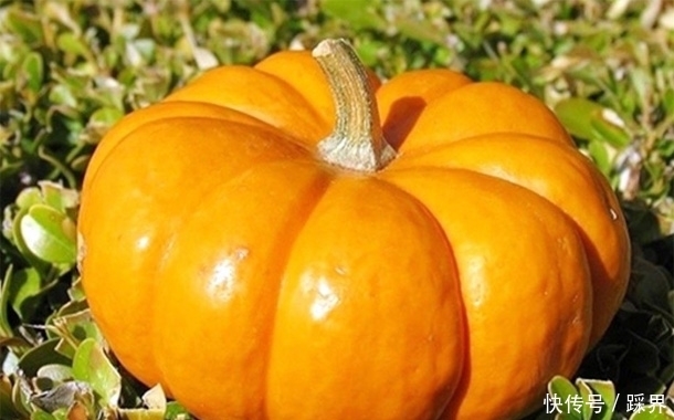 还在喝粥养生保长寿?它不一定适合你,这3种才是真正的长寿食