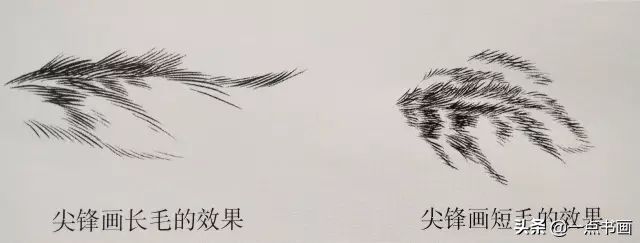 步骤|工笔猫的画法步骤