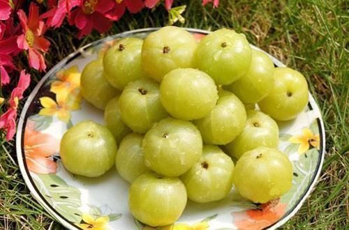 身材|女人吃了更好的食物,减肥瘦身,皮肤光滑又细腻,身材更苗条