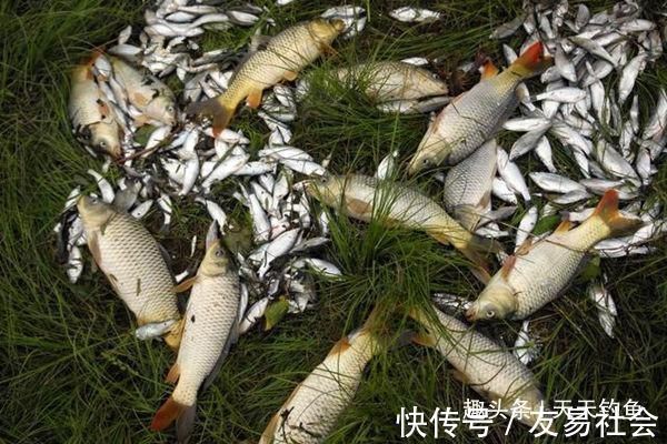 钓不到大鱼,未必是鱼少,可能方法不对试试这几招,一钓一个准