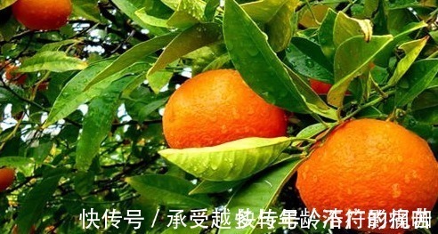 肝阳|人到中年想长寿,推荐吃的食物,排毒消脂,补血滋阴,增强体质