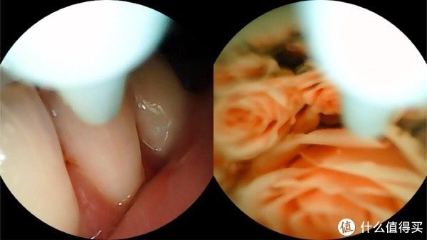 冲牙器|带摄像头的素诺智能可视冲牙器C3 Pro,边看边冲口腔清洁更彻底