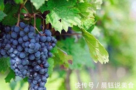 美白护肤|女人爱美多吃三种食物,去除皱纹,美白护肤,早吃早好