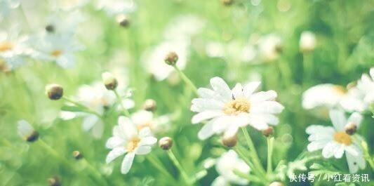 结尾|那些年惊艳了我们的小说结尾,“我在等风,等风热吻你”