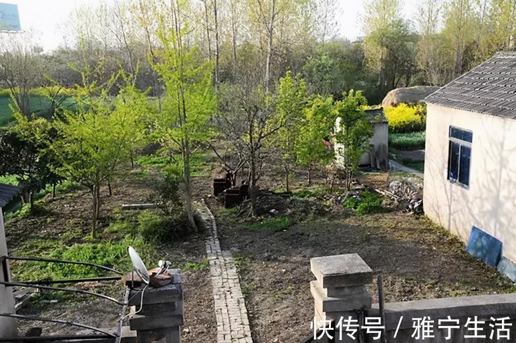 大花园|退休夫妻花4年改造自家老房，建3000㎡大花园，住在人间仙境里