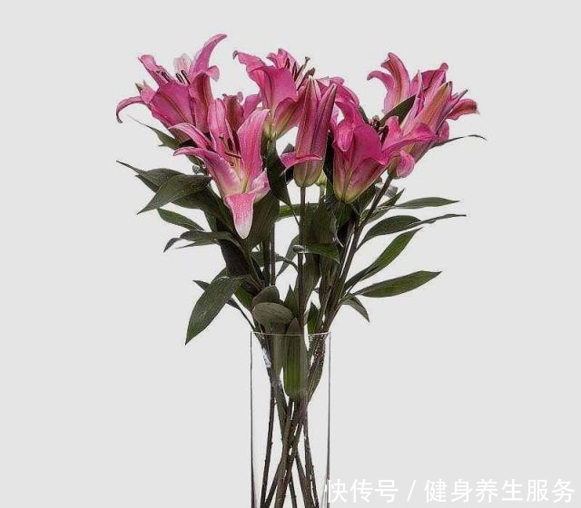 绿萝、文竹爱“吃”糖,定期来一勺,不黄叶长得旺,叶片绿油油!