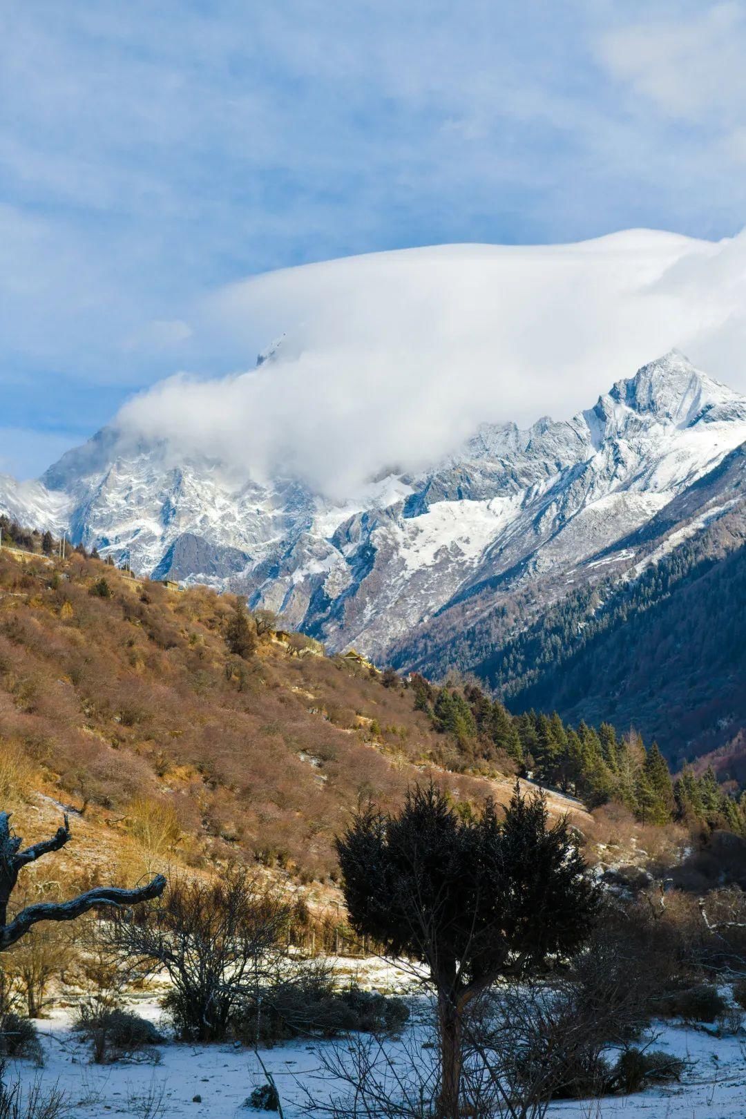 老年|成都这里又下雪了！春日雪景美如童话