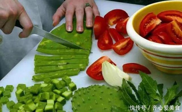 30年的仙人掌长成“仙人树”,霸气侧漏,多少钱也不卖