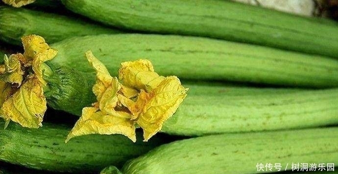 薄荷|女人肚子赘肉多，穿衣难看？喝水时加点它，帮你轻松减掉小肚子