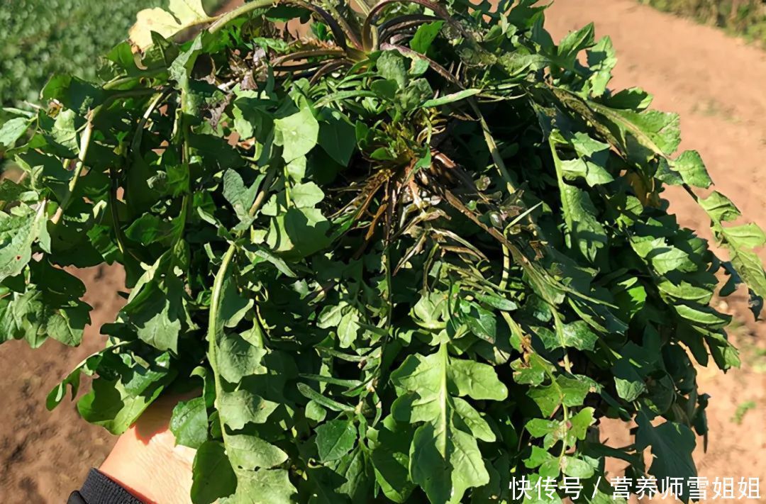 春季，重养生，多食三菜，常饮三茶，调好三气，打好全年健康基础