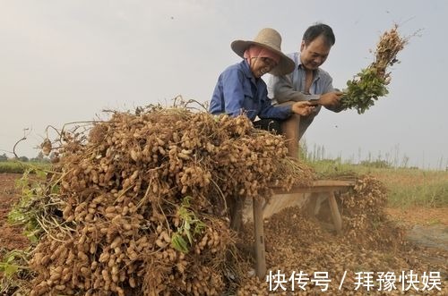 好处|空腹吃几粒花生米，用不了多久，3种好处“主动”找上门