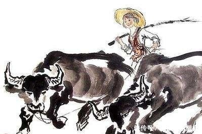 春牛|古人俗语“好女不观灯,好男不鞭春”是什么意思,有没有道理