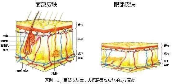 美妆蛋|屈臣氏里你不知道的隐藏好物，价格便宜又好用，遇到“别犹豫”