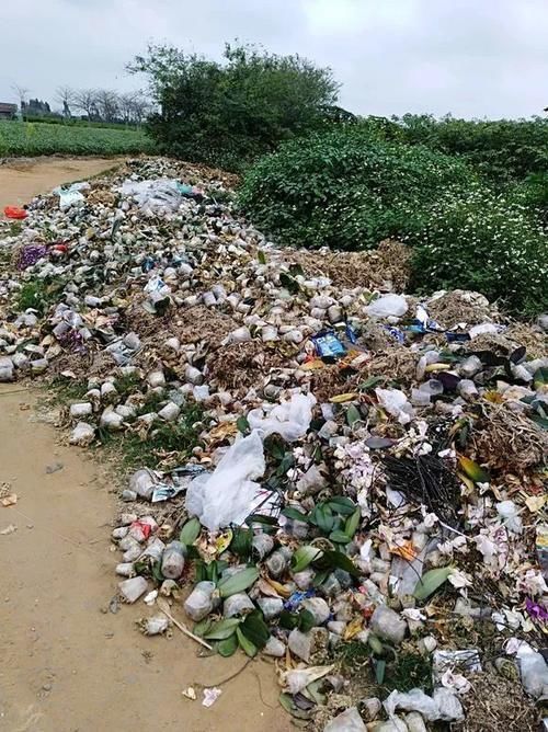 松针土|如果你有5个“坏习惯”,恭喜你,是养花高手!