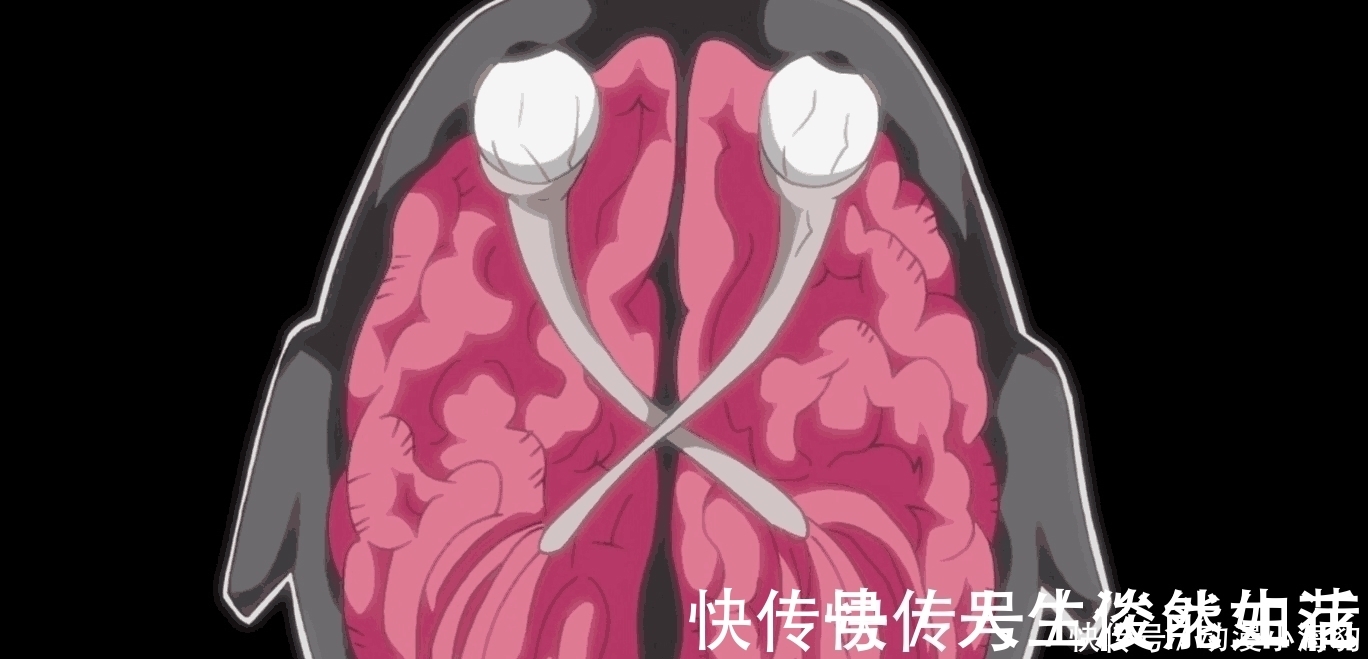 写轮眼|火影 佐助逼问扉间, 凭什么说宇智波邪恶 扉间这回答惊呆所有人!