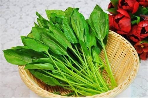 上皮细胞|想长寿全靠吃,3种食物离不开,美容养颜,提高免疫力!