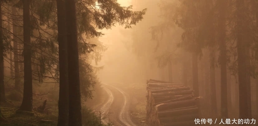 乡村|美图欣赏之中国乡村的美好图景