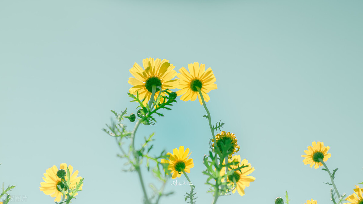 境界的人|一个人的最高境界是:不委屈自己,不亏欠别人