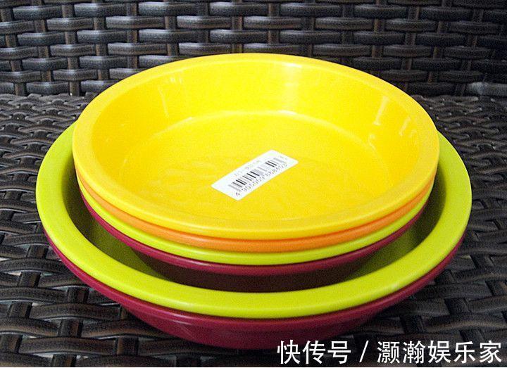 花花|铜钱草修剪趁现在,狠心剃干净, 3天就能窜新叶!