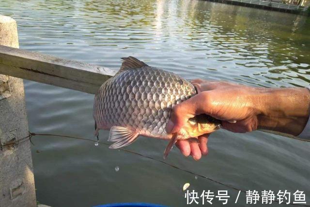 冬钓时,有漂相却老不中鱼?原来是这几步没做好,知道的人不一般