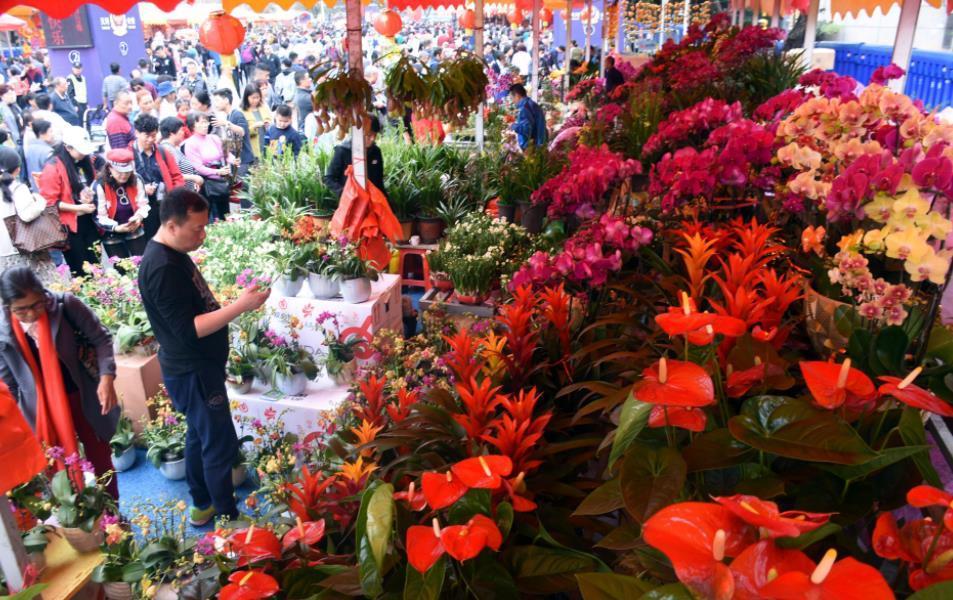 多肉植物|花店买花，避开4种花，里面“猫腻大”，买了难养活，白白浪费钱