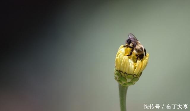 摩羯|嘴硬心软，一身正气的星座，表面强势霸道，实则属于真正的热心肠