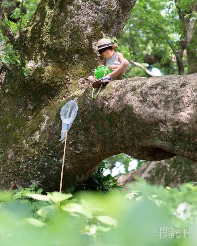 日本一位爸爸给孩子记录的夏天，像动漫里的夏天！！！