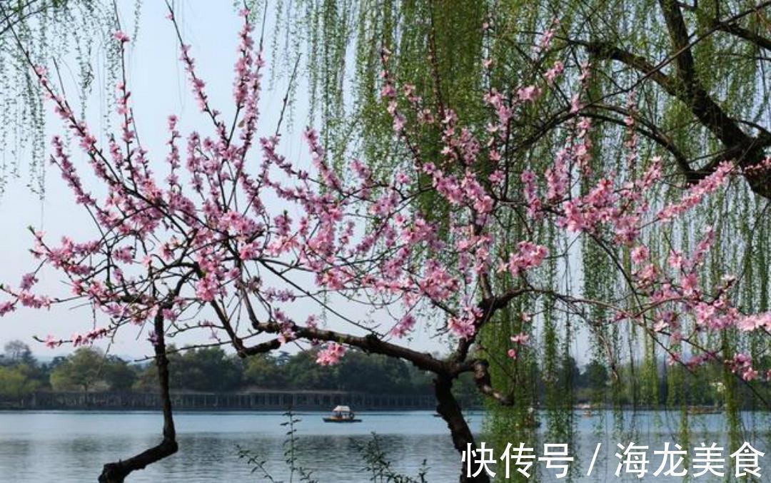 早春野望!王勃最美的一首诗,从开篇到结尾句句惊艳,美得犹如一幅山水画!