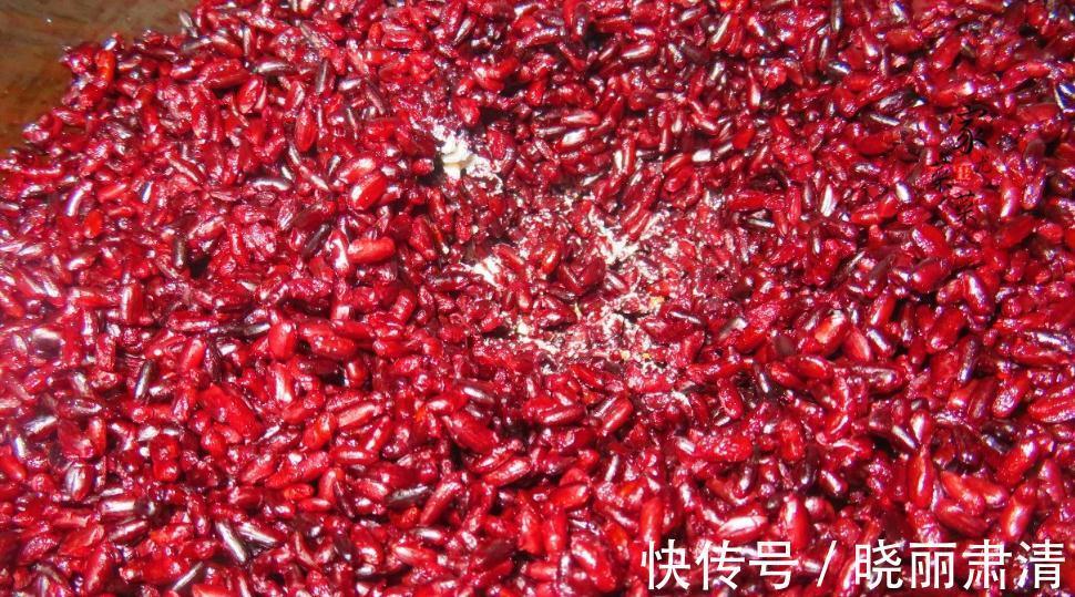 黑米酒酿|天冷了,少吃柿子多吃它,一次做好存冰箱,随吃随取,特省事