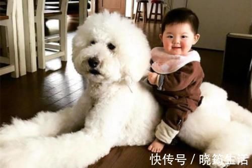 丑照|妈妈晒娃丑照走红,宝宝用脸吃饭、擦窗户,网友:娃不要面子的吗