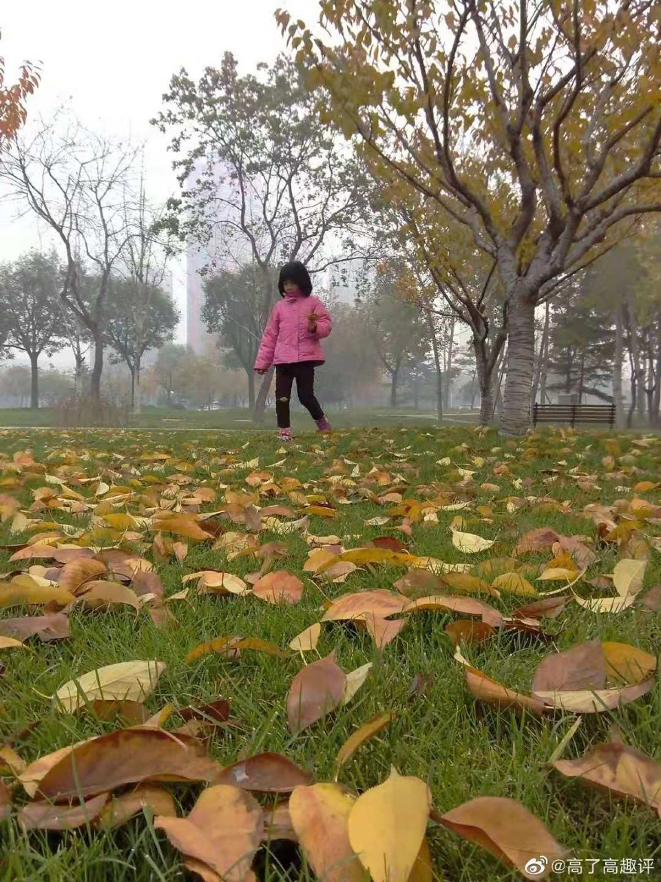 好父母|“家长持证上岗”引争议：你不是不配做父母，而是要成为好父母