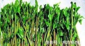 阿拉伯茶|这种植物是醒脑圣药，但却也是“新型罂粟”，很多人竟然当蔬菜吃