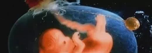 画面|孕妇睡觉的时候,胎儿在做什么呢画面太美不敢看