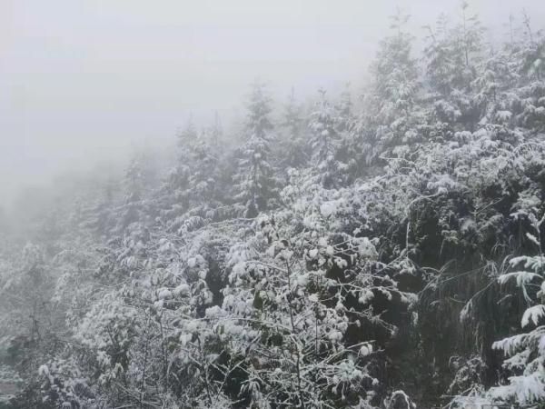 四川|今日立冬，四川这些地方下雪了 ！