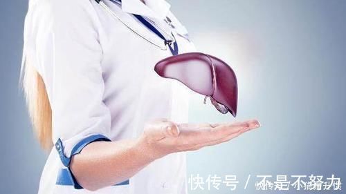 补气|黄芪和它天生一对,一起泡水喝,排毒降火,肝会对你感激涕零