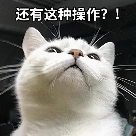 博会|惊险！进博会现场发生“断臂”事故，接下来的一幕出人意料