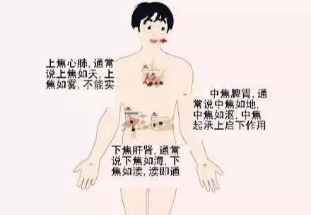 三焦|搞懂了人体“三焦”,所有疑难杂症,都迎刃而解