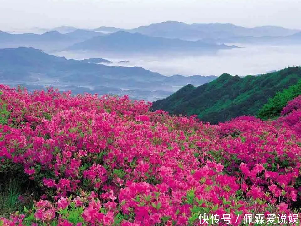 成都或西安出发，高铁仅需2小时，带孩子来宁强走走